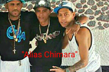 Chimaras