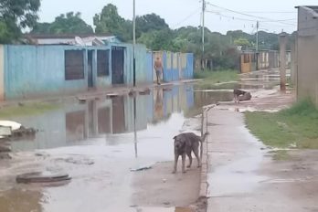 Sectores de Upata afectados por lluvias