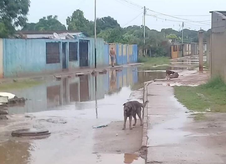 Sectores de Upata afectados por lluvias
