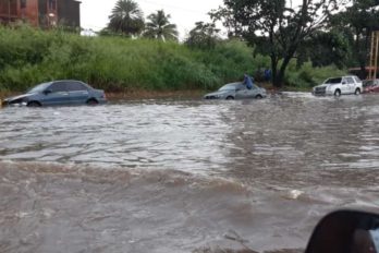 “No se registraron afectaciones por las lluvias de este viernes”
