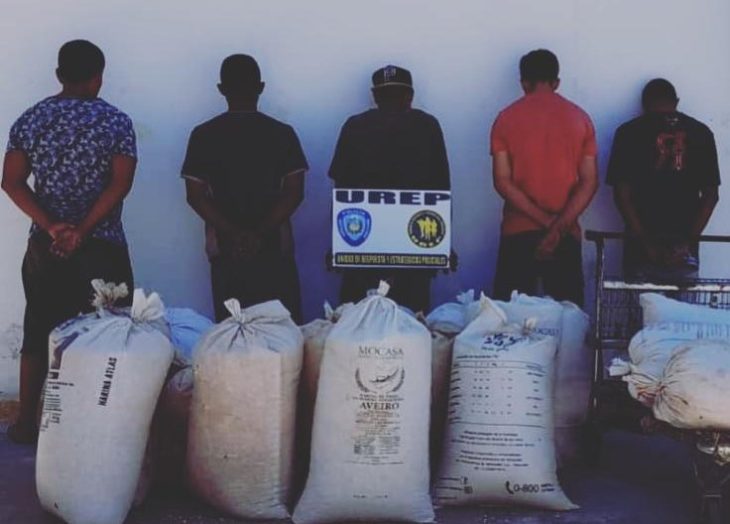 Cinco detenidos robando mercancía en Los Silos