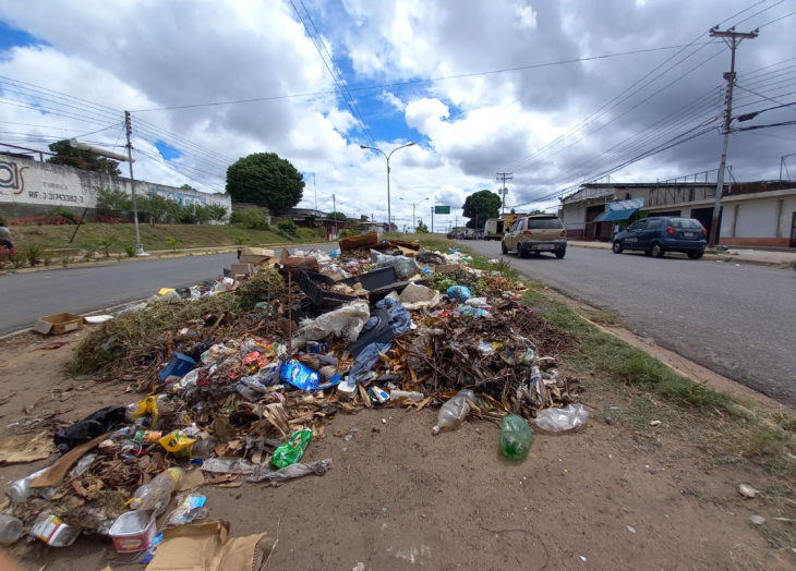 Calles repletas de basura en Caroní (+fotos)