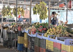 Inseguridad alimentaria aumenta en Bolívar