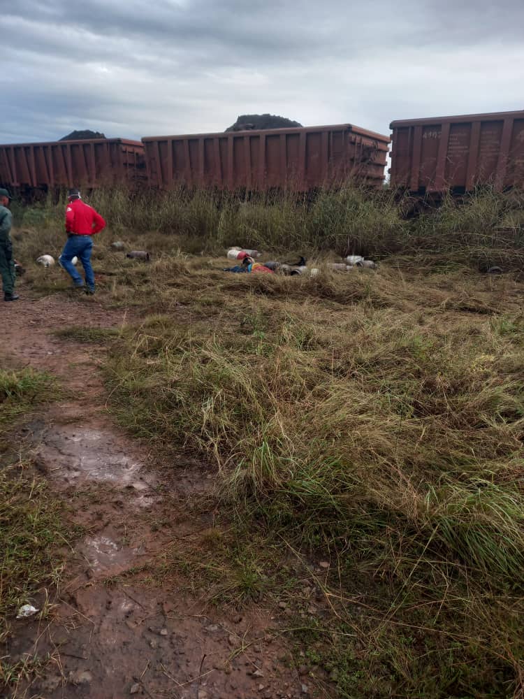 Murió tercera víctima por accidente entre camión de bolívar gas con locomotora de fmo - diario primicia