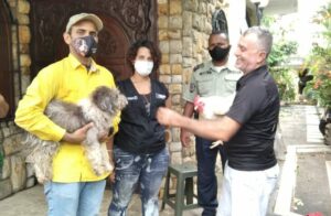 Aumentan casos de maltrato animal en Bolívar 