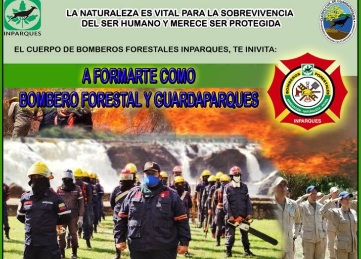 Bomberos Forestales iniciará recepción de documentos para curso básico