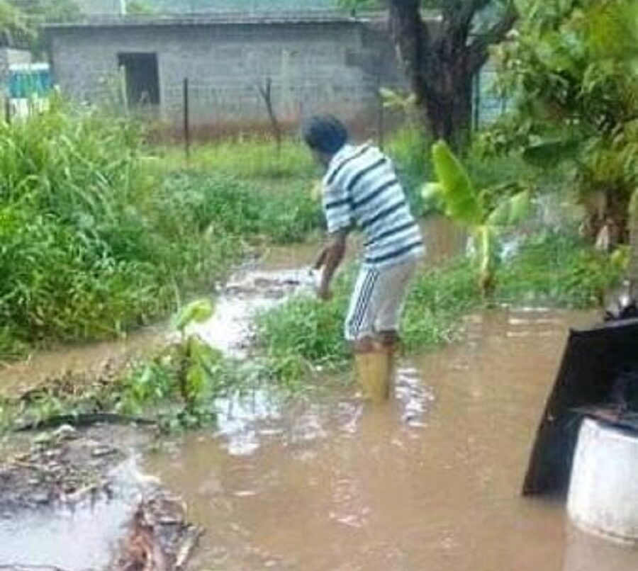 Sectores de Upata afectados por la lluvia - Diario Primicia - Vimarsana News