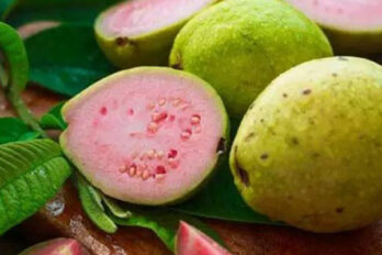Hoja de guayaba: la bebida que ayuda contra los gases