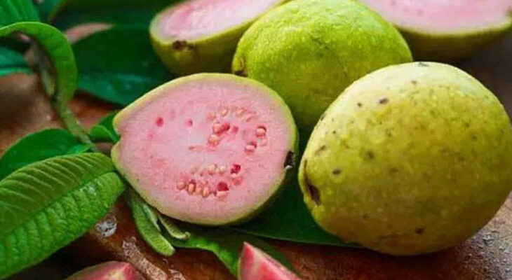 Hoja de guayaba: la bebida que ayuda contra los gases