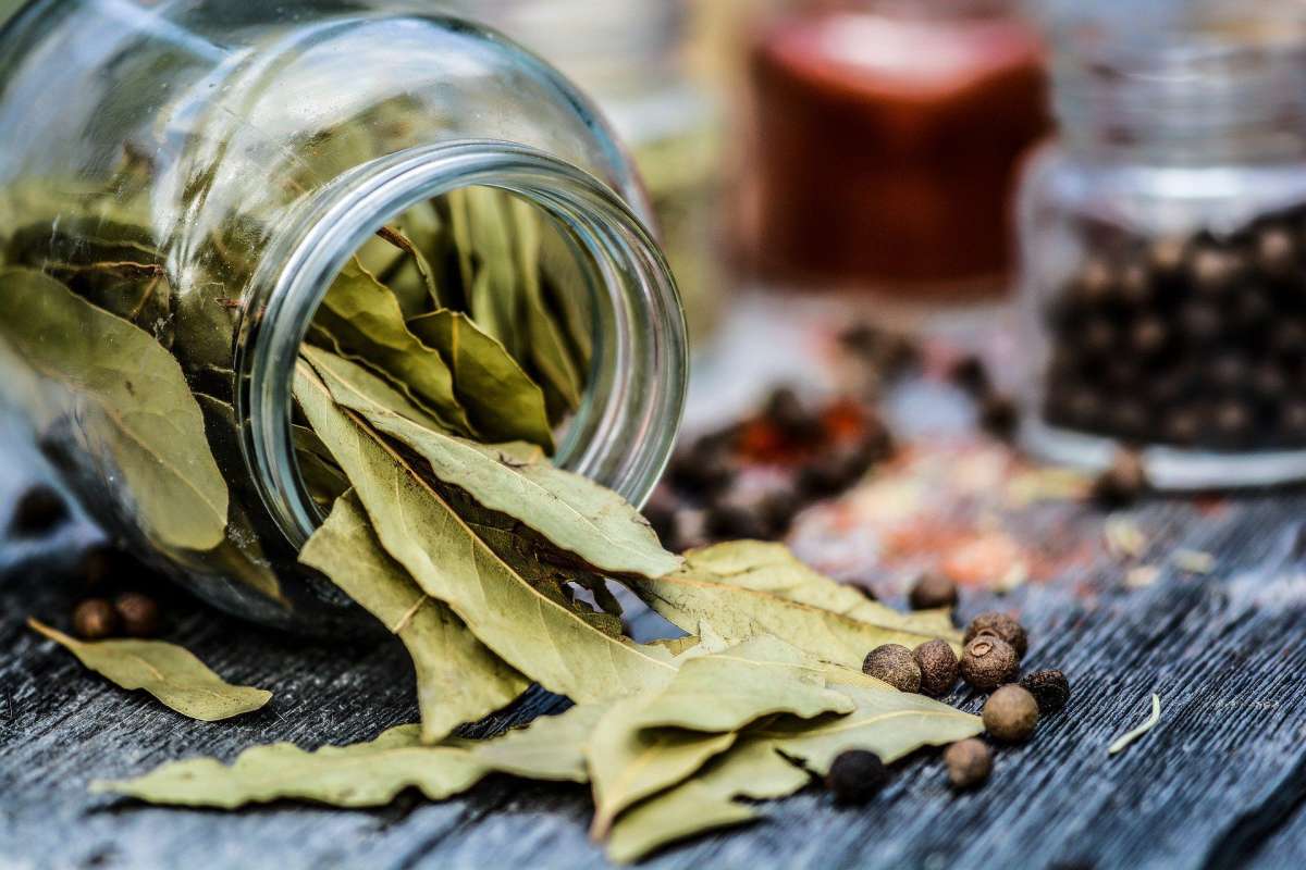 Deja tu suelo desinfectado y como los chorros del oro utilizando esta planta 4 Merca2.es Mantén tus suelos relucientes: el secreto natural de nuestras abuelas