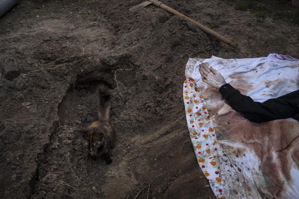 More than 900 bodies have been found around Kiev