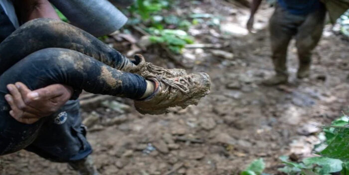 They rescue an abandoned girl in Darien (+ video)