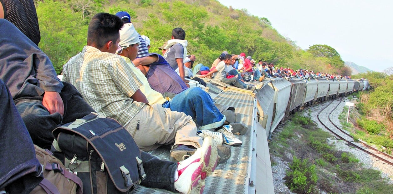 Tragic Death of Venezuelan Migrant on The Beast Train – News Update