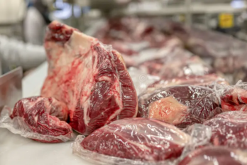 Carne