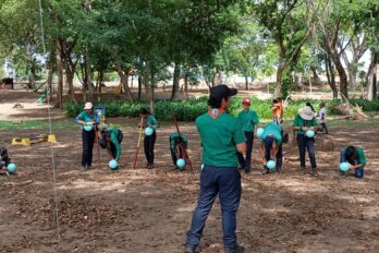 scouts