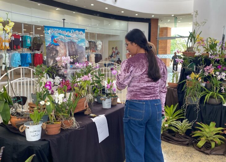 orquídea