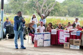 proyectos