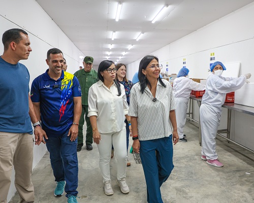 Vicepresidenta Rodríguez