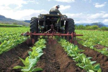 Fedeagro