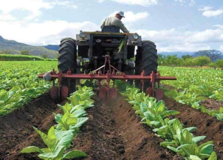 Fedeagro