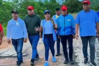 Inspeccionan troncales