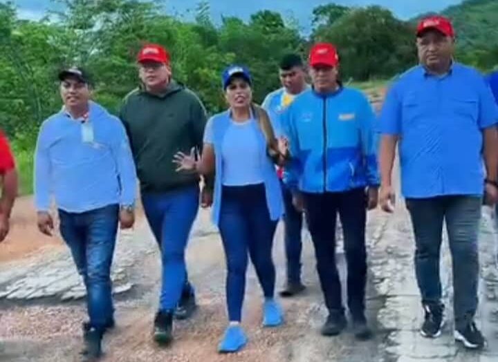 Inspeccionan troncales