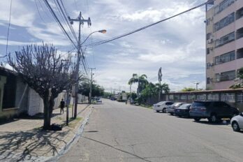 Los Olivos