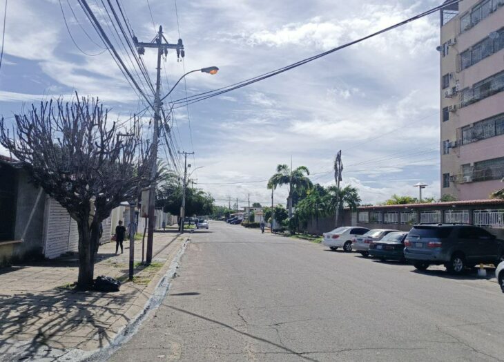 Los Olivos