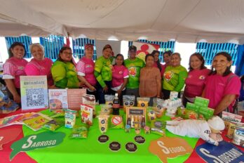 jornada