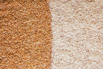 arroz