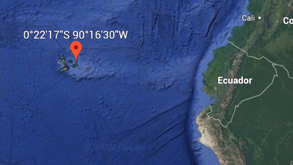 Alertas
