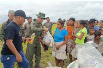 Alimentos