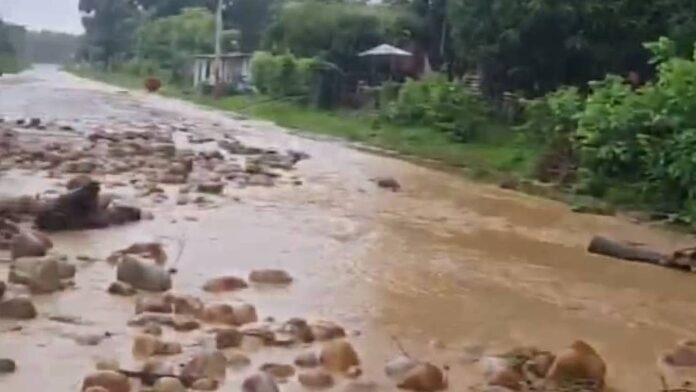Barinas