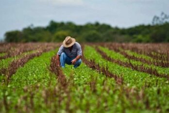 Fedeagro