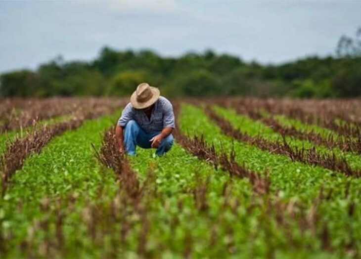 Fedeagro