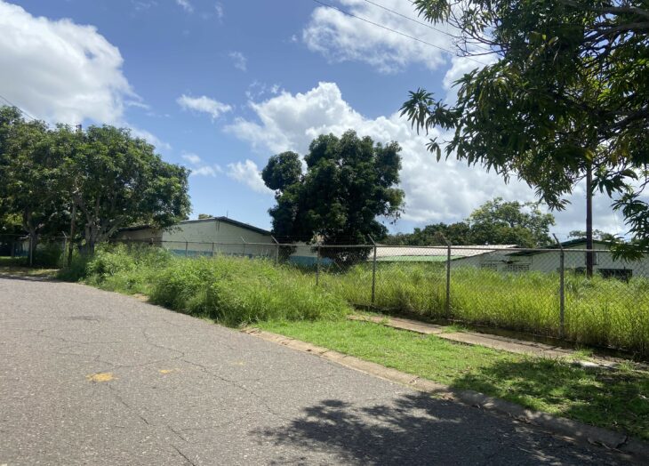 Los Olivos