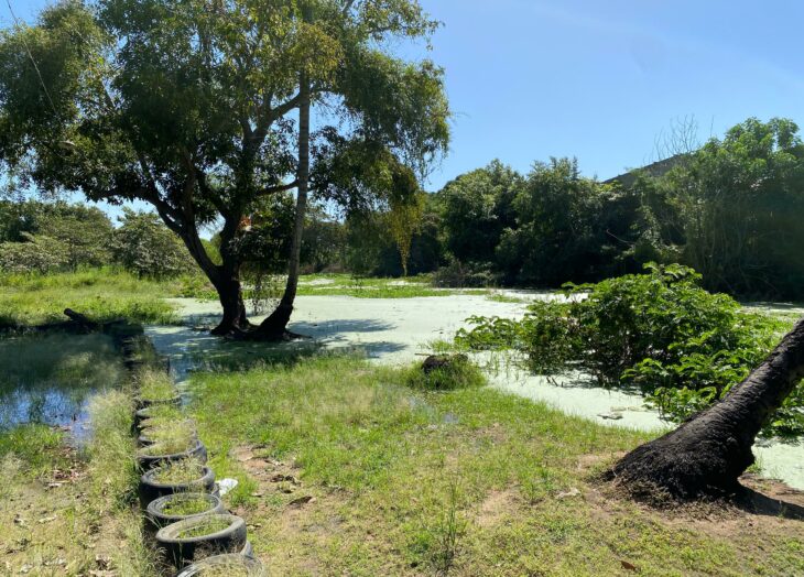 río