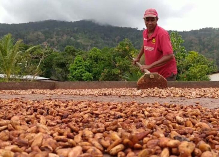 Cacao