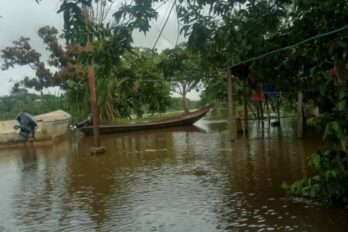 río orinoco