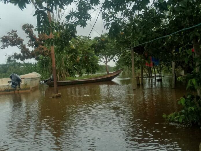 río orinoco