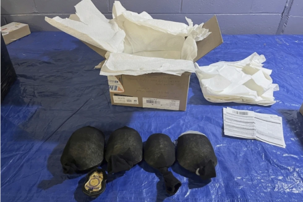 NYC Man Attempts to Ship 850 Turtles to Hong Kong