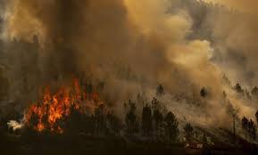incendios
