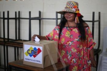 Ministra Pueblos Indígenas