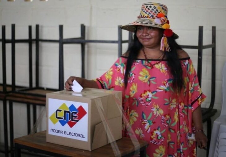 Ministra Pueblos Indígenas