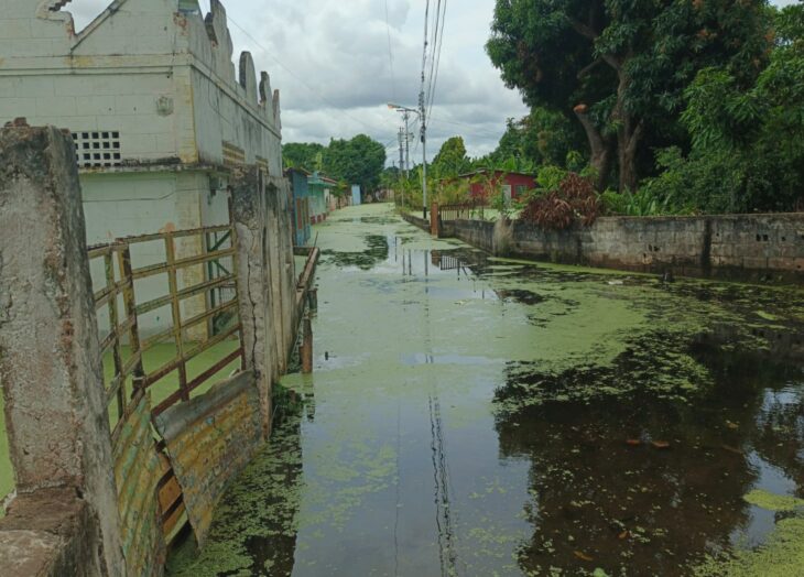 el edén