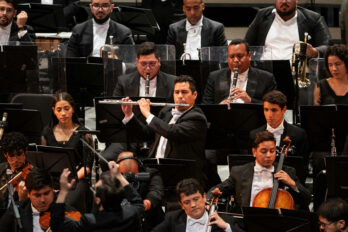 El sistema