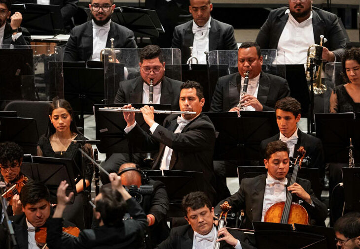 El sistema