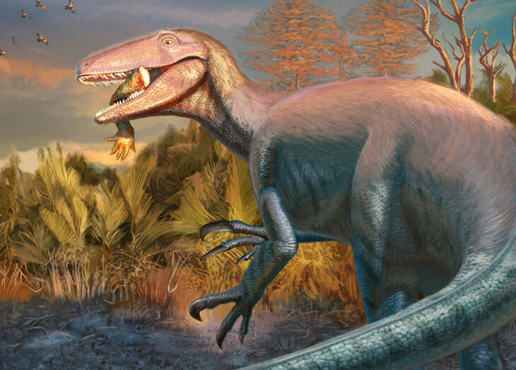megaraptor