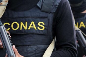 Conas Falcón