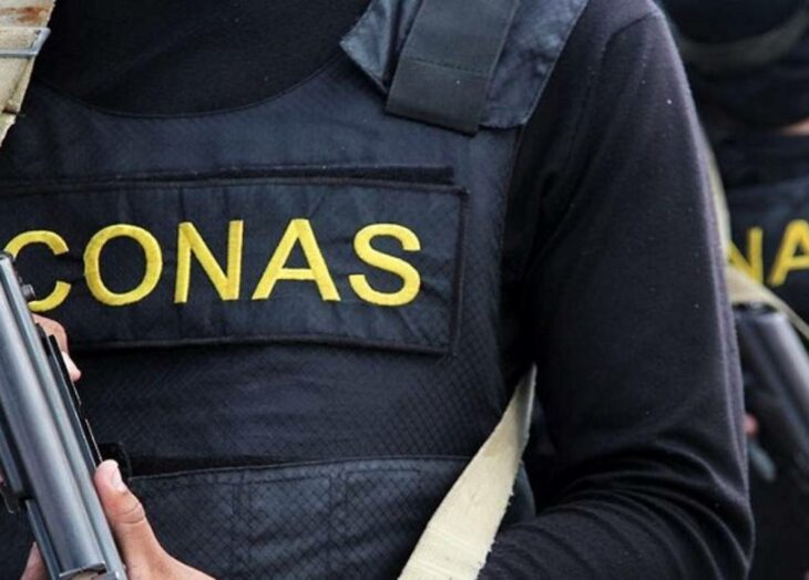 Conas Falcón